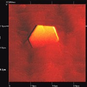 AFM of a GaN single crystal grown out of a GaN layer