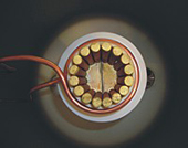 Mounted skull crucible